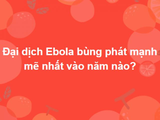 Giáo dục - du học - Tạm biệt năm cũ với bộ câu đố thách thức hiểu biết của mọi người