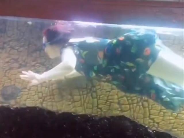 Bạn trẻ - Cuộc sống - Clip: Bà mẹ hồn nhiên bơi như nàng tiên cá trong "bể cá khổng lồ"