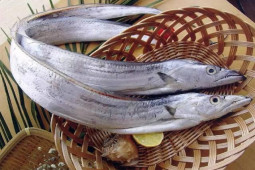 Ẩm thực - 6 loại cá biển ngon, rẻ, bà nội trợ thông minh thấy sẽ mua ngay