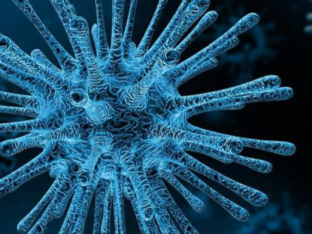 Sức khỏe đời sống - Một virus khỉ khác đang sẵn sàng lây sang người