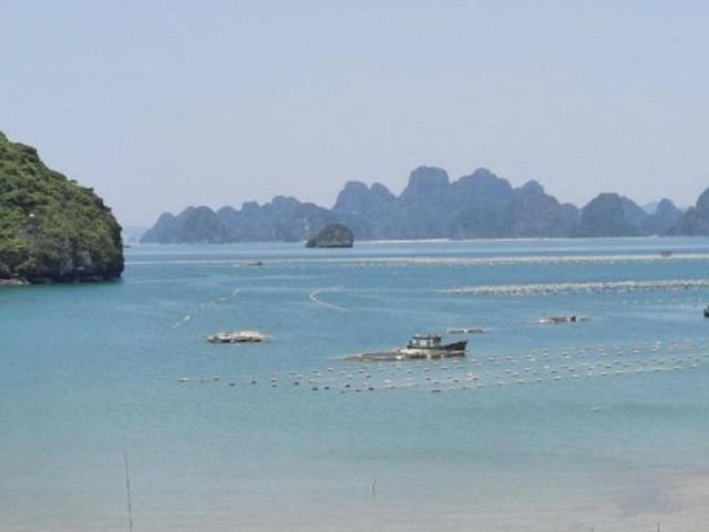 Tin tức trong ngày - Tìm thấy thi thể mẹ và con trai 14 tháng kẹt trong khoang tàu đắm ở Vân Đồn