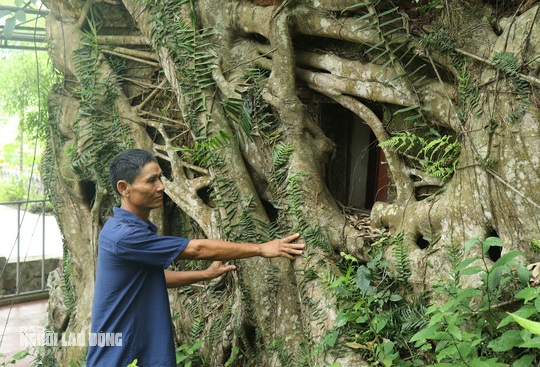 "Không ai trong làng biết chính xác miếu Cao Sơn có từ niên đại nào, nhưng theo một số tài liệu được dịch lại ngôi miếu có tuổi đời hàng trăm năm"- ông Luận thông tin