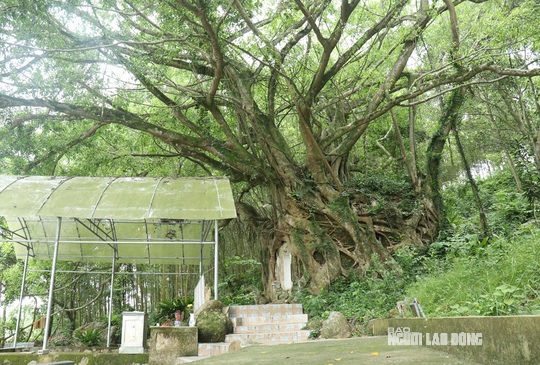 Ngôi miếu thiêng nằm tựa mình bên một sườn núi thấp, hướng ra giếng ngọc, ao sen cùng cánh đồng lúa của người dân địa phương. Trải qua hàng trăm năm, ngôi miếu này vẫn luôn giữ được vẻ đẹp nguyên sơ