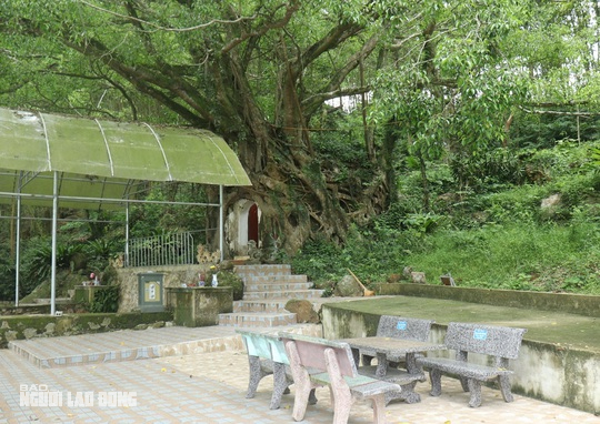 Có lẽ nhờ được bộ rễ che chở mà ngôi miếu này dù đã tồn tại hàng trăm năm nhưng vẫn được bảo vệ tương đối nguyên vẹn cho tới tận bây giờ. "Ngôi miếu này rất thiêng, có nhiều người tới đây cầu gặp may mắn, bình an. Chính vì thế, người làng tôi ai cũng ra sức bảo vệ"- ông Trần Vũ Luận cho hay.