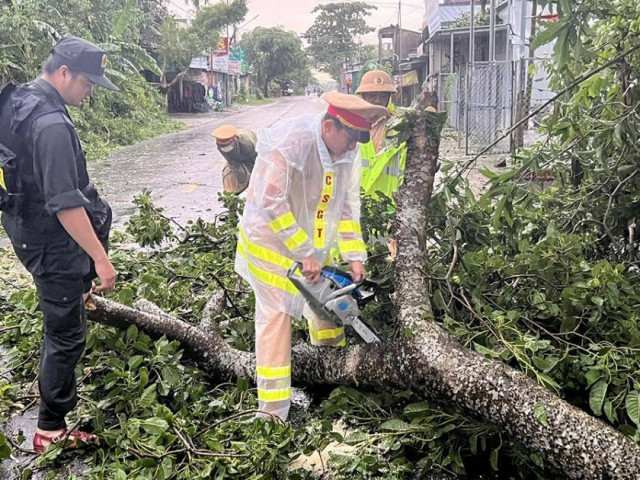 Những “công nhân môi trường” đặc biệt sau bão Noru