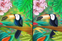Bạn trẻ - Cuộc sống - 6 bài quiz tưởng dễ mà khó không tưởng