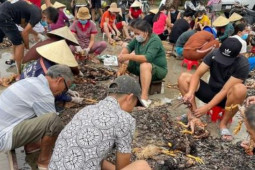 Thị trường - Tiêu dùng - 4.000 con gà chết vì mưa lũ, cả làng đến giúp chủ trang trại sơ chế