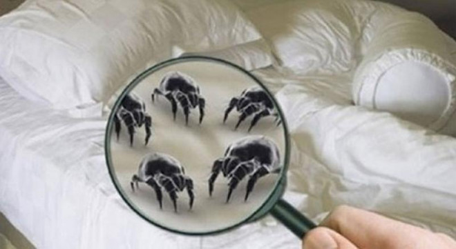 Thường xuyên cảm thấy ngứa tai nhưng không thể lấy gì ra ngoài được, chuyện gì đang xảy ra? - 2