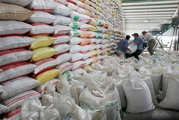 Ấn độ cấm xuất khẩu gạo tấm, áp thuế xuất khẩu 20% đối với các mặt hàng gạo trắng và gạo lứt. Ảnh: Đình Huệ/TTXVN