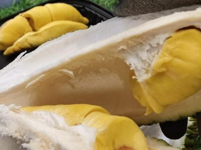 Thị trường - Tiêu dùng - Giá sầu riêng cao ngất ngưởng dù xuất sang Trung Quốc chưa bao nhiêu