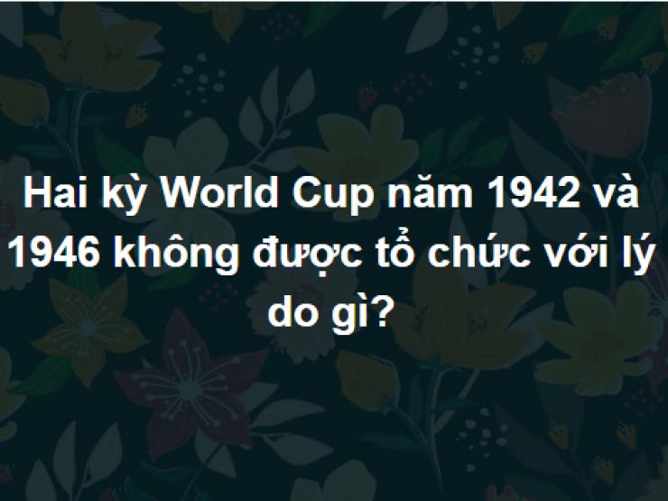 Có cả biển tri thức mới trả lời đúng trọn bộ câu hỏi này