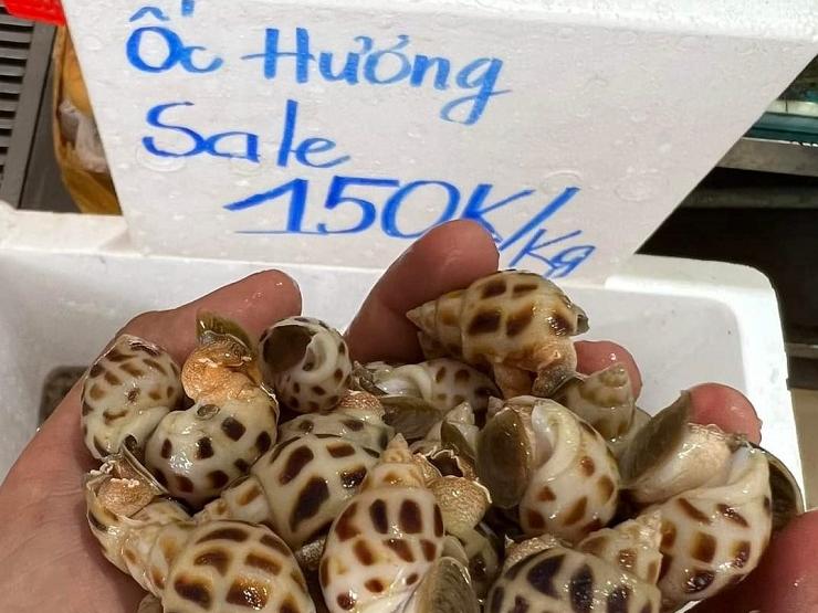 Ốc hương “chạy bão” ra Hà Nội có giá chỉ từ 80 nghìn đồng/kg, chị em thi nhau mua