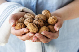 Sức khỏe đời sống - Loại quả trường sinh ích trí bổ não, ăn vào giờ này mới lợi đủ đường