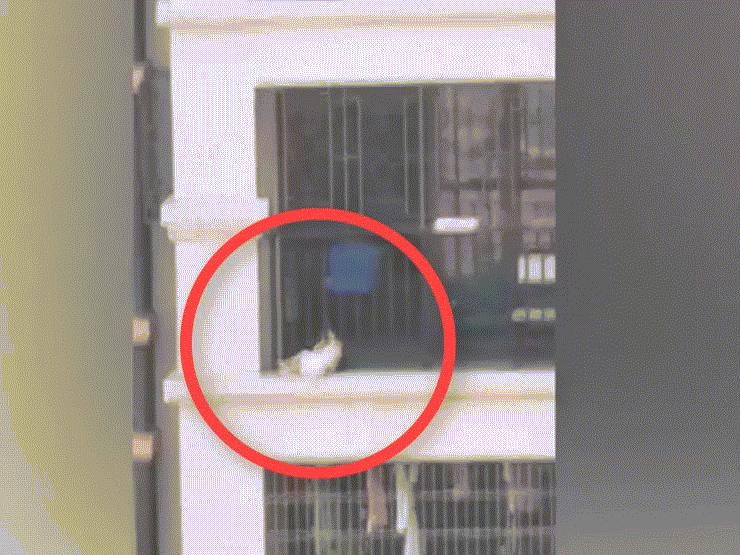 Phi thường - kỳ quặc - Thót tim cảnh em bé mắc kẹt đầu giãy giụa ở lan can tầng 7