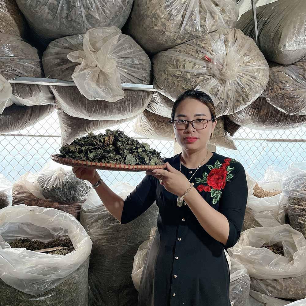 Ngoài việc khám chữa bệnh chị còn đi khắp nơi thu thập các loại thảo dược quý hiếm