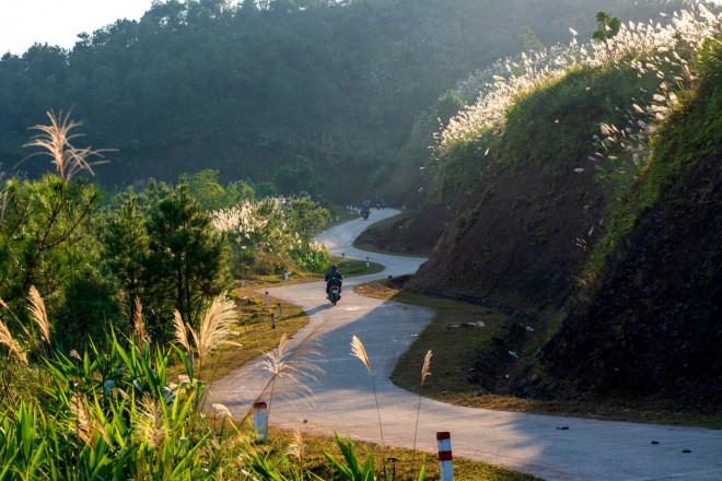 Bốn mùa hoa ở vùng đất "sống lưng khủng long" - 5