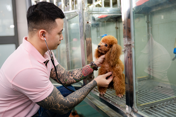 Anh Trần Tùng Lâm đã nghỉ việc làm nhân viên văn phòng về nuôi chó.