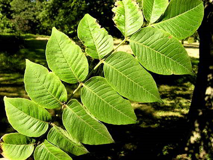 Sức khỏe đời sống - Đại tràng co thắt, căn bệnh khiến nhiều người “ăn không no, ngủ không yên”