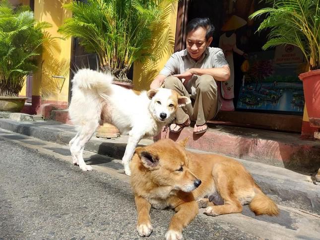 Hơn 1 tỷ đồng tài trợ để người Hội An nói không với thịt chó, mèo - 1