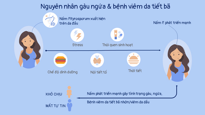 Các nguyên nhân gây gàu, nấm, ngứa
