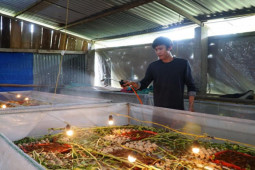 Thị trường - Tiêu dùng - Nuôi con vật nhàn hạ, ngày chăm 1 tiếng, 9X đút túi hơn chục triệu/tháng