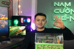 Thị trường - Tiêu dùng - Kỳ lạ 9X mua kiến về nuôi chơi, có tháng kiếm đến 30 triệu đồng