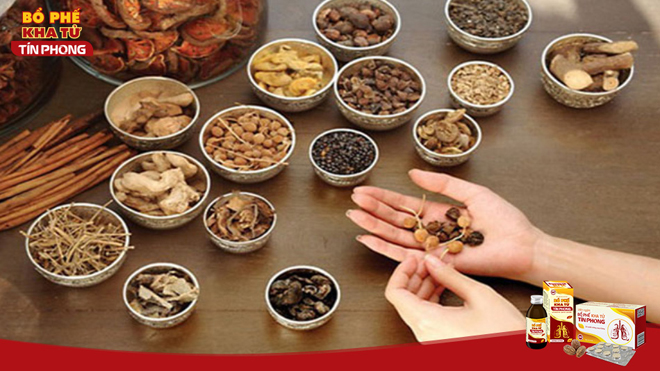 Nhiều vị dược liệu có tác dụng bổ phế đã được sử dụng lâu đời để giảm ho, đờm