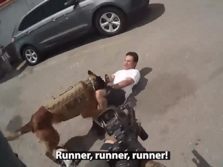 Video: Khoảnh khắc nghi phạm chĩa súng vào đầu chó nghiệp vụ, bị đặc nhiệm SWAT bắn chết