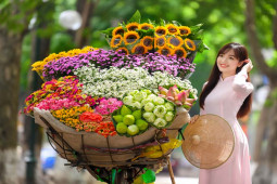 Bạn trẻ - Cuộc sống - Thiếu nữ đẹp rạng rỡ bên những xe hoa mùa thu Hà Nội