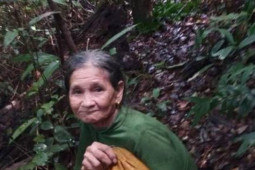 Tin tức trong ngày - Xuyên đêm tìm kiếm cụ bà bị lạc trong rừng khi đi nhặt hạt dẻ