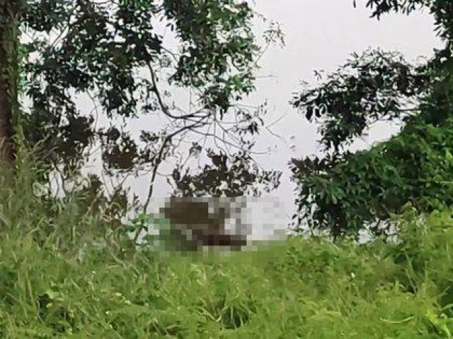 Pháp luật - Đi câu cá, người dân phát hiện sự thật khó tin dưới đập nước