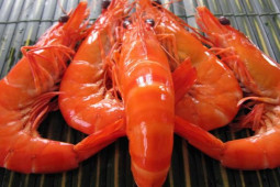 Ẩm thực - Luộc tôm không hề dễ, ghi nhớ 4 bước này tôm mềm và hết mùi tanh