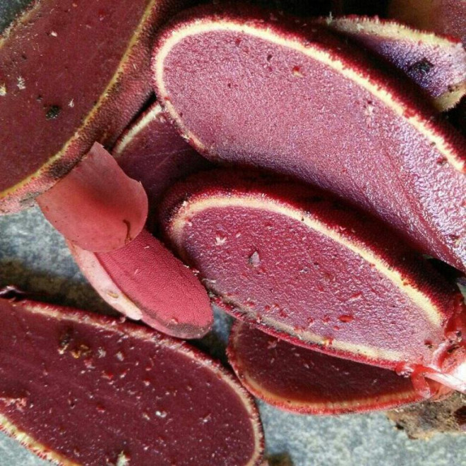 Nấm ngọc cẩu có thể được dùng ở dạng tươi hoặc phơi khô.