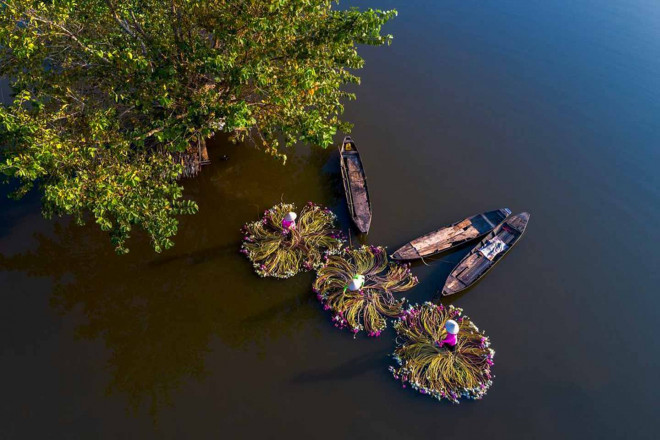 Nét đẹp bình dị của sông nước miền Tây Nam Bộ. Ảnh: Shutterstock