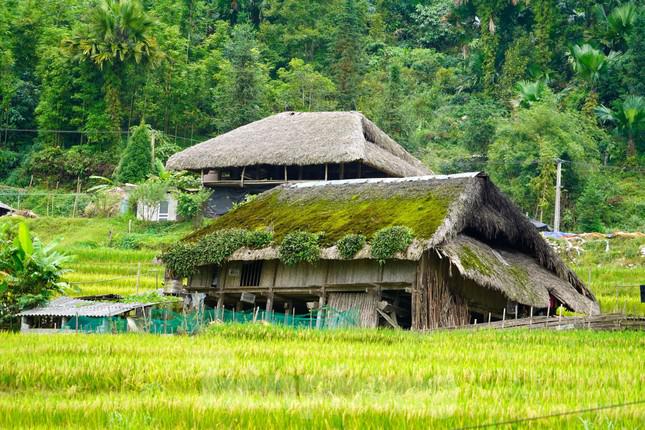 Đẹp mê mẩn những mái nhà phủ đầy rêu xanh ở đỉnh Tây Côn Lĩnh - 10