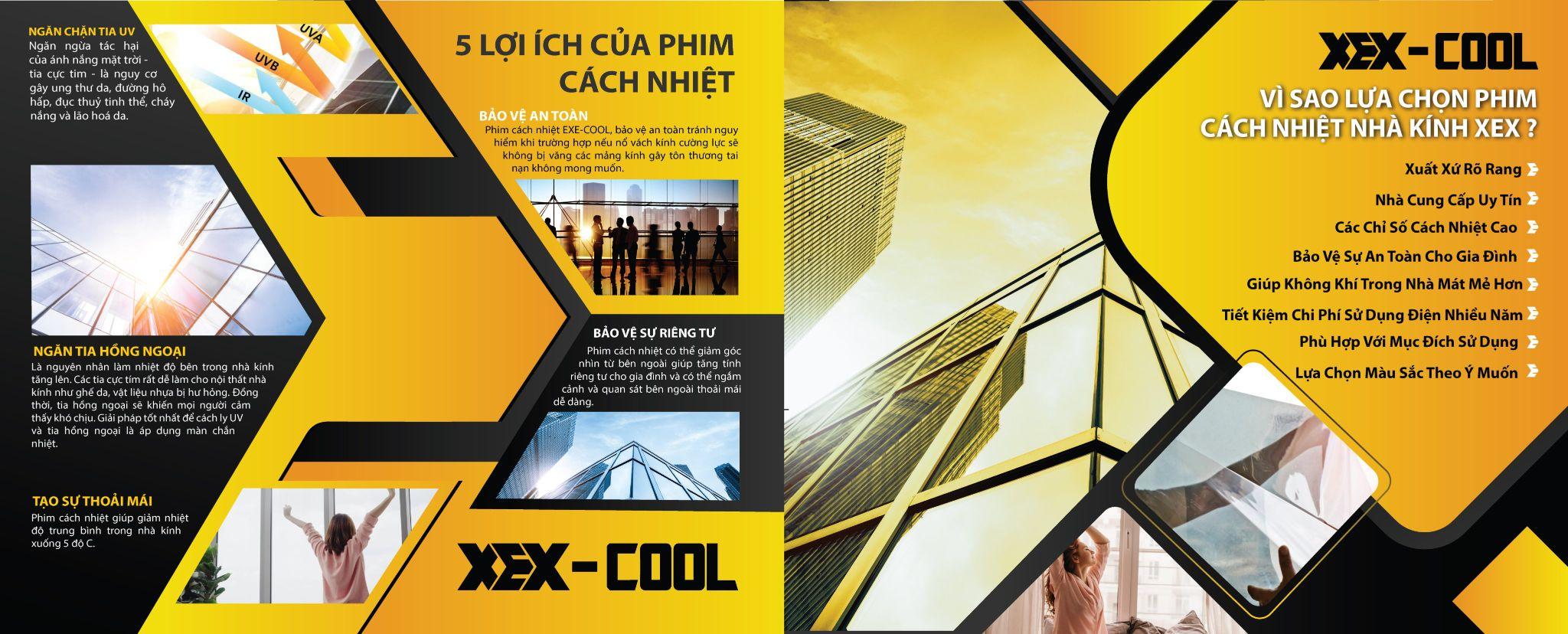 Phim cách nhiệt XEX-COOL cùng ca sĩ Phạm Trưởng có màn ra mắt hoành tráng - 3