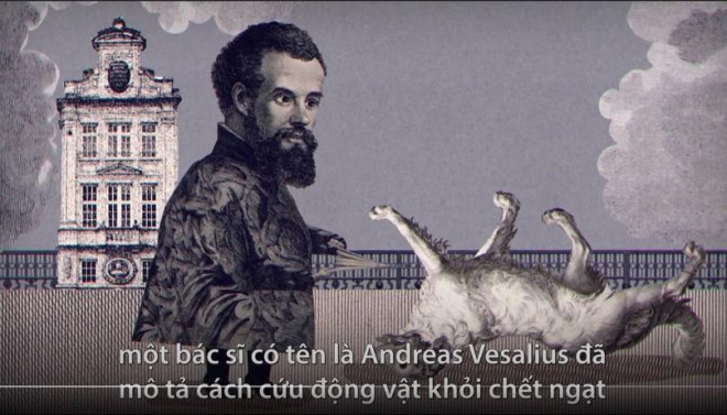 Andreas Versalius đã cứu sống động vật khi sử dụng một ống sậy đặt vào khí quản, thổi không khí qua ống sậy đó bằng dụng cụ thổi lửa của thợ rèn.