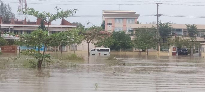 Hàng trăm héc ta thanh long tại Bình Thuận ngập sâu sau trận mưa giữa đêm - 3