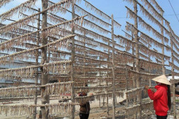 Thị trường - Tiêu dùng - Loại cá ở quê từng "thất sủng", không ai ăn, nay thành đặc sản nổi tiếng giá 750.000 đồng/kg