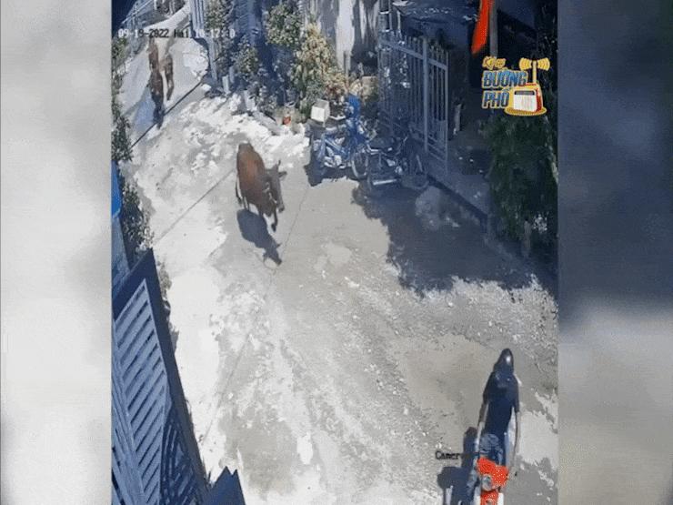 Xe máy - Xe đạp - Clip: Thanh niên số nhọ cứ ra khỏi nhà là bị dàn Lamborghini "truy sát"