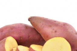 Sức khỏe đời sống - Những đại kỵ khi ăn khoai lang, biết mà tránh nếu không muốn "mang trọng bệnh"