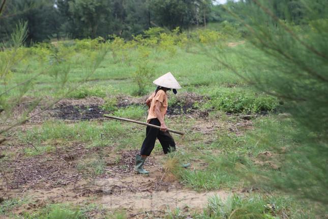 Nông dân Hà Tĩnh kiếm bội tiền nhờ đi săn dế mùa lũ - 7