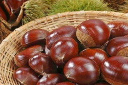 Ẩm thực - Hạt dẻ là "vua của các loại hạt", nhưng bạn không nên cùng 2 món này, cực hại sức khoẻ