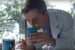 Bạn trẻ - Cuộc sống - Bí mật đằng sau nghề nếm thử đồ ăn của chó mèo