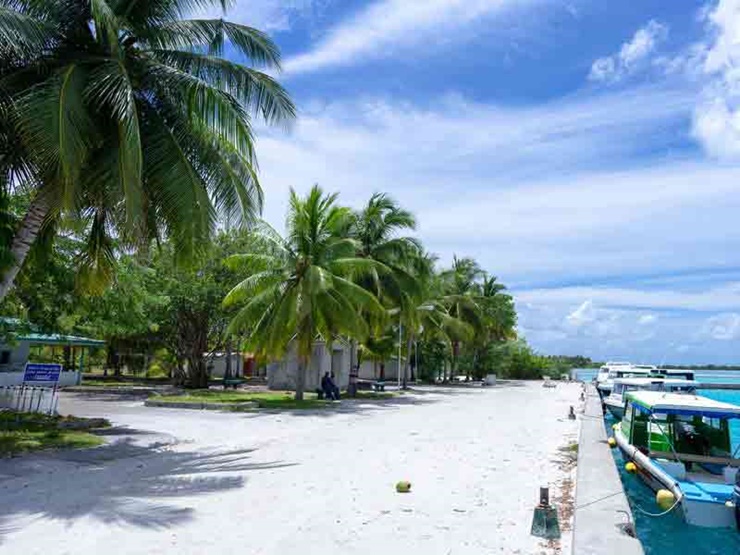 Từ năm 1923, đã có những người Việt được đưa sang đây làm trong các đồn điền. Lâu dần, cộng đồng người Việt ở đây không ngừng lớn mạnh và luôn hướng về Tổ quốc.