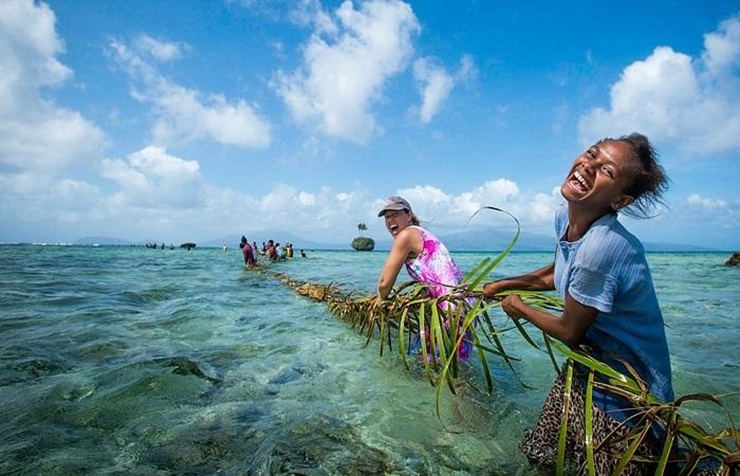 Vanutatu chỉ rộng hơn 12.000 km2. Với diện tích này thì thua một số tỉnh rộng ở VN như Nghệ An, Đắk Lắk.