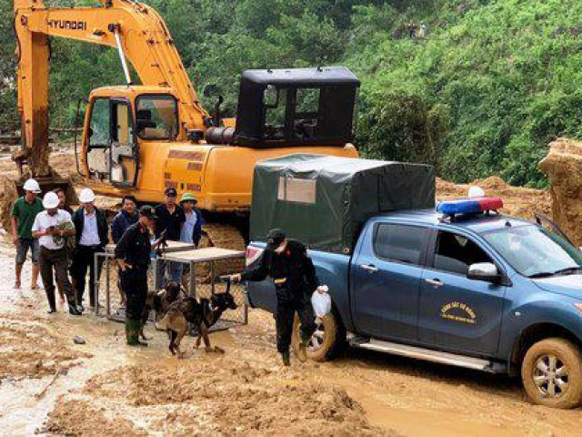 Đưa chó nghiệp vụ đến hiện trường vụ sạt lở thủy điện Kà Tinh