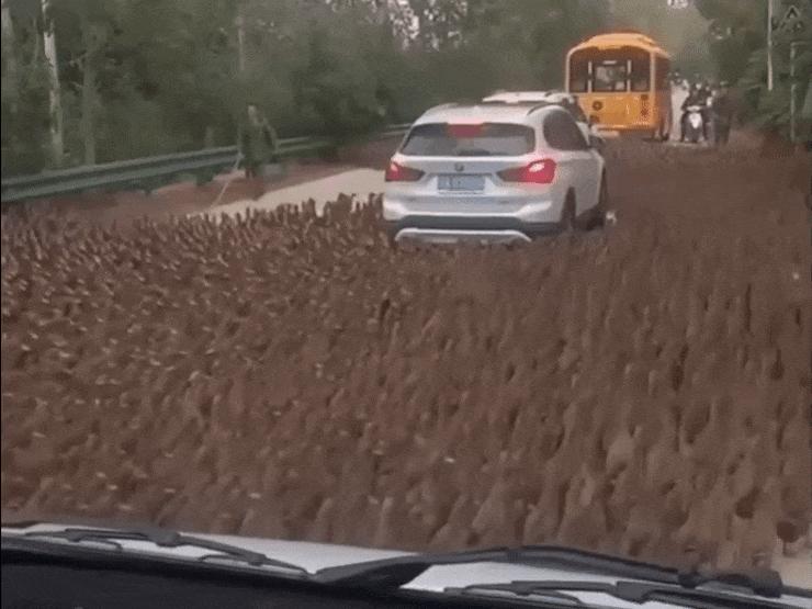 Ô tô - Clip: Hàng loạt ô tô không thể di chuyển vì bị "ngàn quân" bao vây