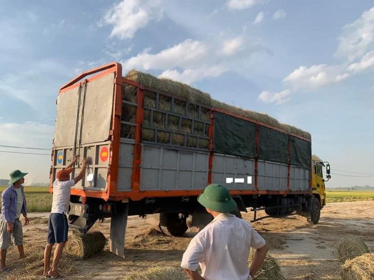 Thị trường - Tiêu dùng - Gom thứ phế phẩm vứt đầy đồng về bán, 9x có thu nhập hàng trăm triệu đồng/vụ