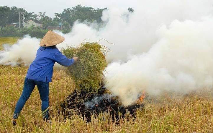 Người dân tiến hành đốt rơm rạ ngay tại đồng gây lãng phí, khói bụi và ô nhiễm môi trường.